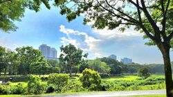 Blk 242 Bishan Street 22 (Bishan), HDB 5 Rooms #452335771